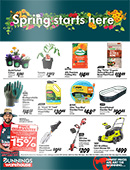 Spring-Starts-Here