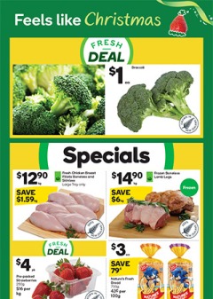 Woolworths Weekly Mailer