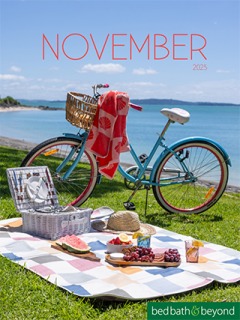 November Mailer 2025 