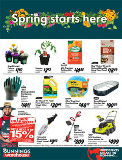 Spring Starts Here