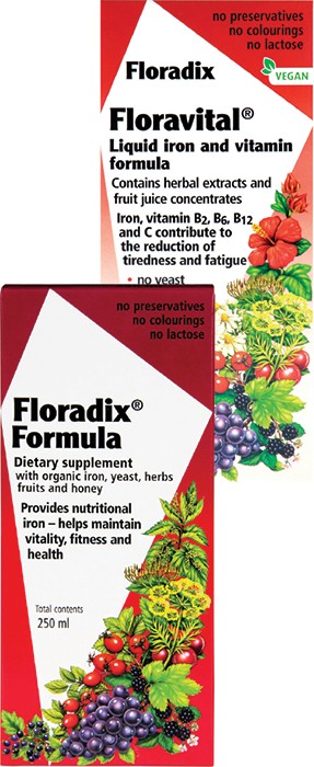 Floradix 250ml