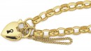 9ct-19cm-Oval-Belcher-Padlock-Bracelet Sale