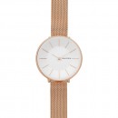 Skagen-Ladies-Watch Sale