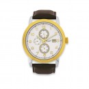 Elite-Gents-Two-Tone-Multidate-100m-WR-Watch Sale