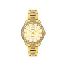 Elite-Ladies-Watch Sale