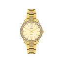 Elite-Ladies-Gemma-Watch Sale