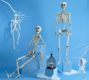 Spooky-Hollow-Skeletons-Bodies Sale