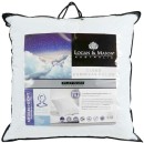 Logan-Mason-Platinum-Cloud-European-Pillow Sale