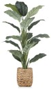 30-off-NEW-Bouclair-Large-Potted-Plant-122cm Sale