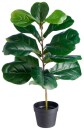 Botanica-Fiddle-Leaf-75cm Sale