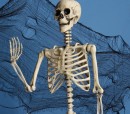 Spooky-Hollow-Life-Size-Skeleton Sale