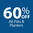 60-off-All-Pots-Planters Sale