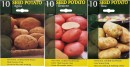 Seed-Potato-10-Pack Sale