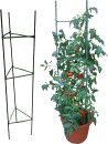 Tomato-Cage-Stakes-150cm Sale