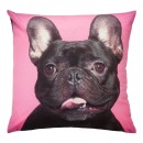 Brampton-House-Frenchie-Photo-Real-Cushion Sale