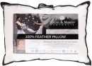 Logan-Mason-100-Feather-Pillow Sale