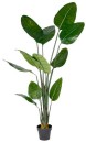 Banana-Leaf-Tree-180cm Sale