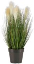 Bulrush-in-Pot-56cm Sale