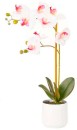 Potted-Orchid-WhitePink-53cm Sale