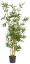 Bamboo-with-Pot-153cm Sale