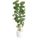 Everlasting-Potted-Sea-Grape-Tree-175Cm Sale