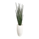 Everlasting-Potted-Snake-Plant-200Cm Sale