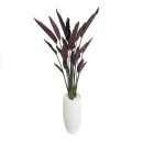 Everlasting-Potted-Strelitzia-Plant-180Cm Sale