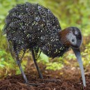 Gardenhub-Metal-Kiwi-Ornament-40cm Sale