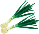 Spring-Onions Sale