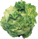 Unwrapped-Iceberg-Lettuce Sale