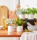 30-off-Greenery Sale