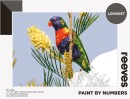 NEW-Reeves-Paint-by-Numbers-Lorikeet Sale