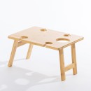 Billy-Portable-Picnic-Table Sale