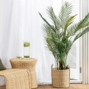 Palm-150cm Sale