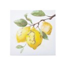 Summer-Fruit-Wall-Art-30x30cm-Lemons Sale