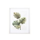 3D-Framed-Print-42x52cm-Green-Monstera Sale