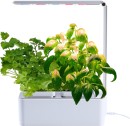 Mr-Fothergills-Hydro-Garden-All-In-One-Grow-Kit Sale