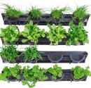 Holman-Green-Wall-Vertical-Garden Sale