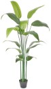 Emerald-Hill-Banana-Leaf-170cm-Artificial-Jumbo-Plant Sale