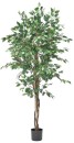 Emerald-Hill-Banyan-180cm-Artificial-Jumbo-Plant Sale