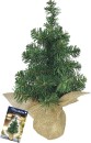 Christmas-Tree-Tabletop Sale