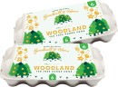 Woodland-Free-Range-Size-6-Eggs-10-Pack Sale