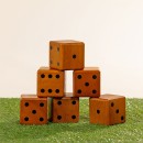 Play-The-Field-Garden-Dice-Game Sale