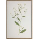 Framed-Print-Multicoloured-Stem Sale