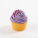 Grace-Gild-Apple-Cupcake-Fun-Bath-Bomb Sale