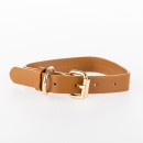 bbb-Pets-Harley-Dog-Collar-Rust Sale