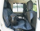 Gear-Up-Hammock-Back-Seat-Pet-Protector Sale