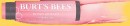 Burts-Bees-Tinted-Lip-Balm-Red-Hibiscus Sale