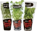 Standard-Living-Herbs-Range Sale