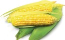 Sweetcorn Sale